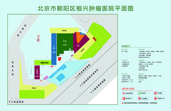 男女戳鸡网站在线观看北京市朝阳区桓兴肿瘤医院平面图